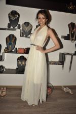 Dipannita Sharma at Atosa Fashion Preview in Mumbai on 22nd Feb 2013 (25).JPG